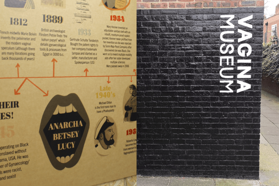 This is an image of a wall with a timeline of information. To the right is a brick wall with the words Vagina Museum painted on to them.