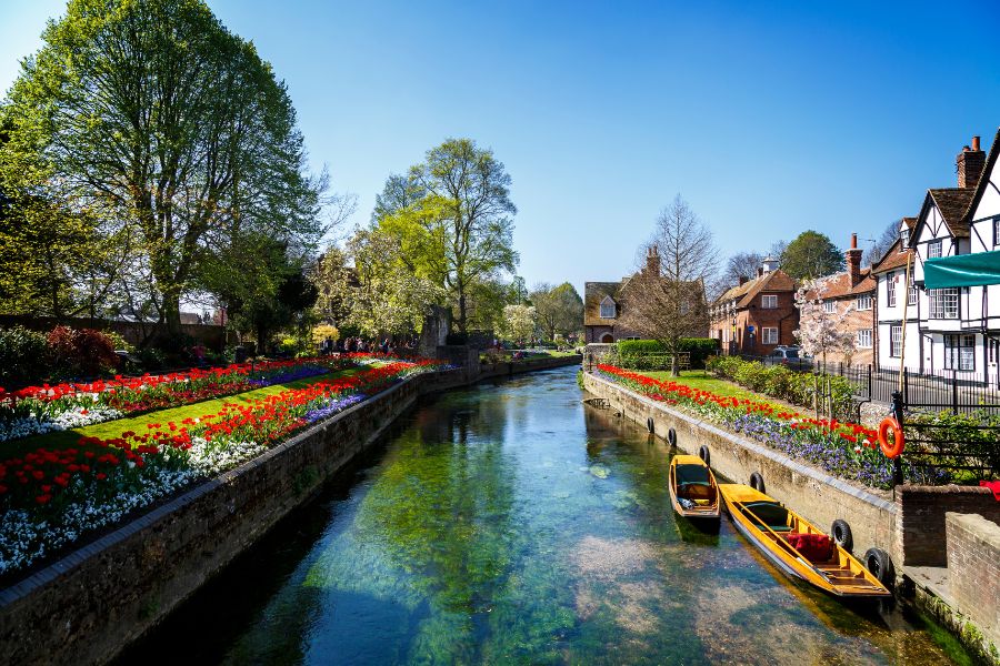 A picturesque stretch of the River Stour in Canterbury lined with vibrant red and white tulip beds, with wooden punting boats moored alongside traditional timber-framed buildings