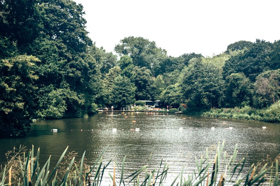 A serene natural swimming pond at Hampstead Heath, surrounded by dense green trees with a small wooden jetty visible in the background