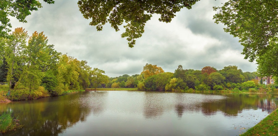 This is an image of a vast open lake in a pretty park with greenery around the water.