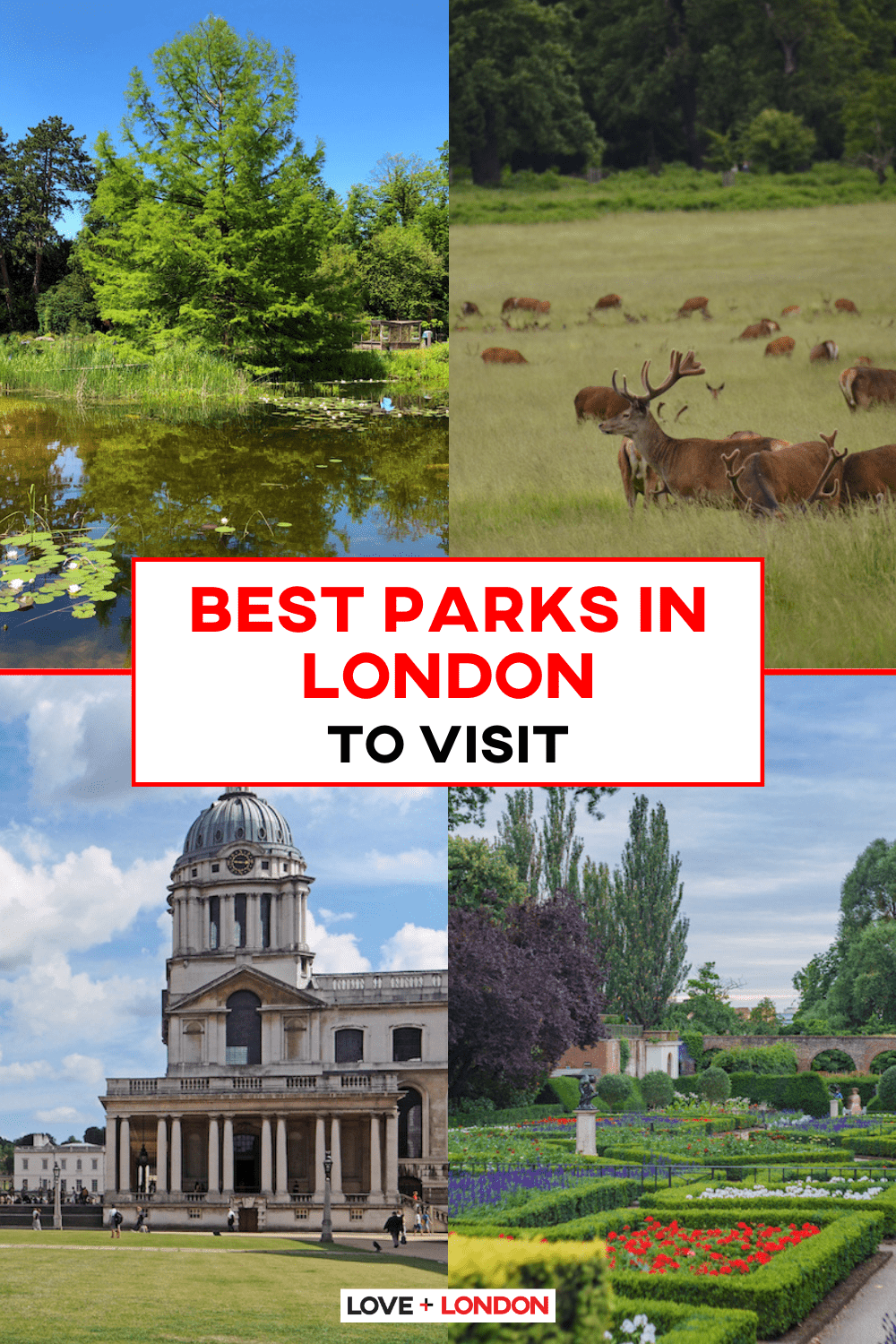 This is an image of a pinterest pin comprised of four images of London parks full of nature and bright summery scenes with animals and plants and flowers.