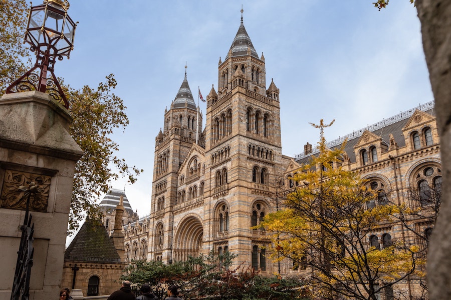 What To Do in London In February - go visit the natural history museum