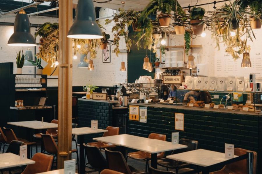 This is an image of a light-filled, cosy cafe with greenery, plants and lots of seating.