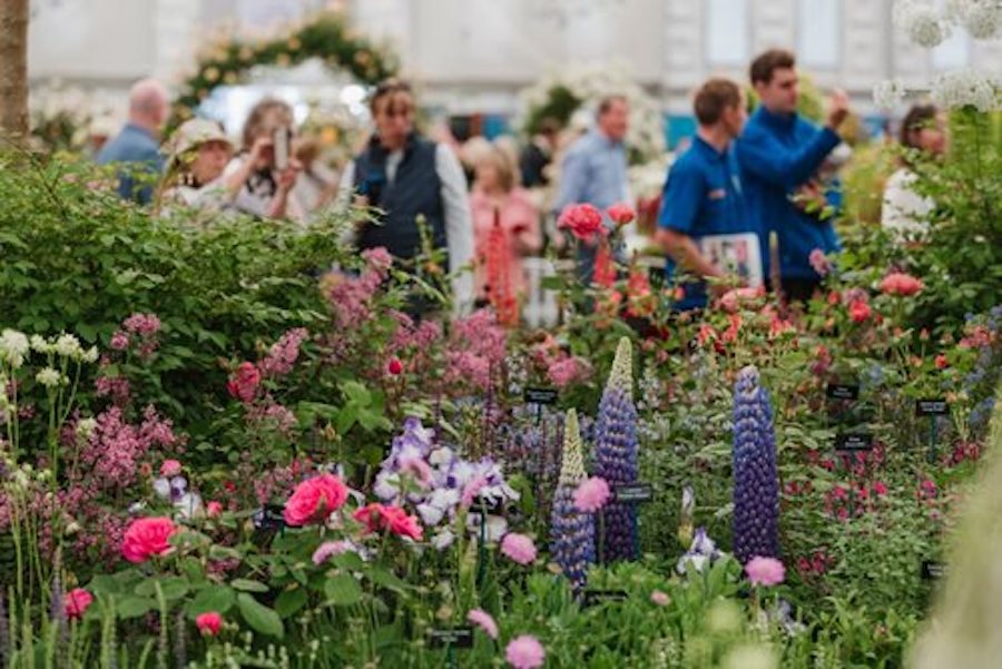 Top Things to Do in London in May - Don your fancy gear for The Chelsea Flower Show