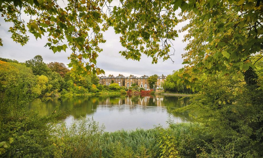 This is an image of a big lake with trees overhanging along the side and brick houses in the back.
