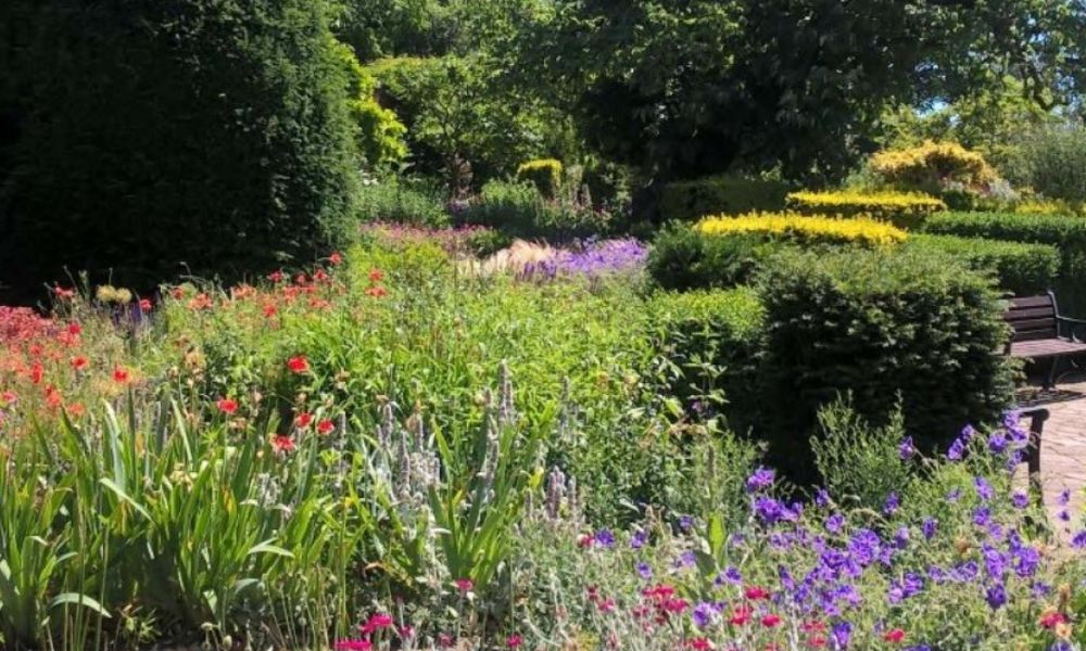 This is an image of a big flower garden full of different flowers and hedges.