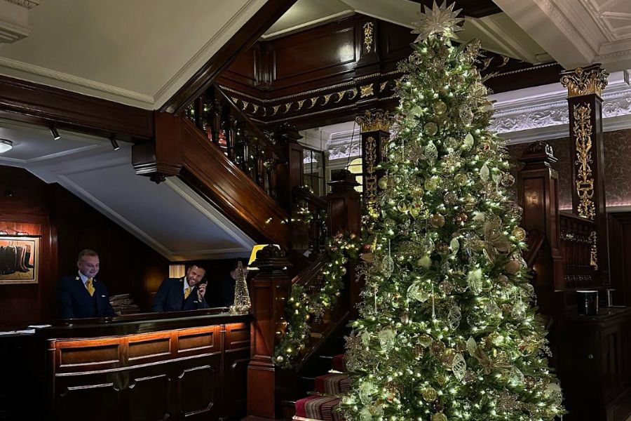 This is an image of a well-lit Christmas tree in a hotel lobby.