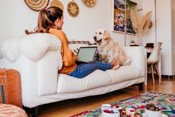 Here's a picture of a woman sitting on a couch house-sitting a white labrador dog, which is a great way to save on your London accommodation.