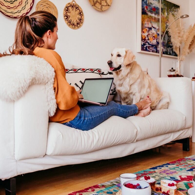 Here's a picture of a woman sitting on a couch house-sitting a white labrador dog, which is a great way to save on your London accommodation.