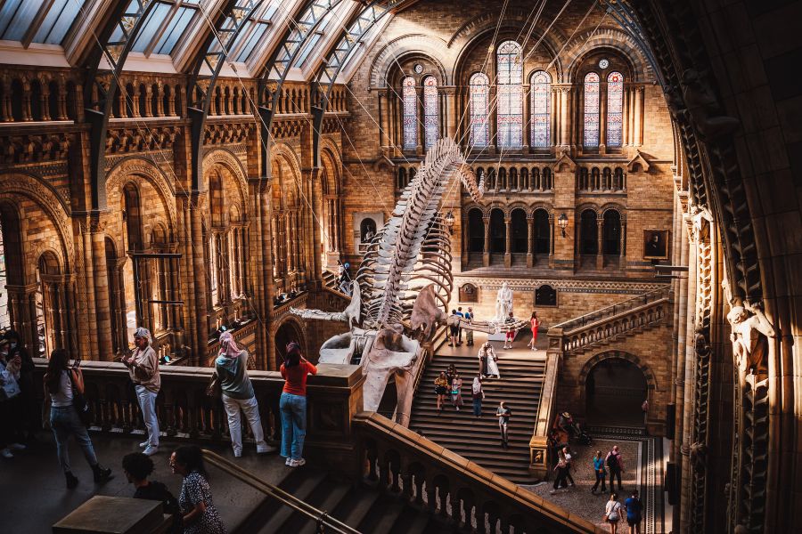 The main atrium of the Natural History Museum, offering one of the top guided tours of London attractions, to their incoming visitors.