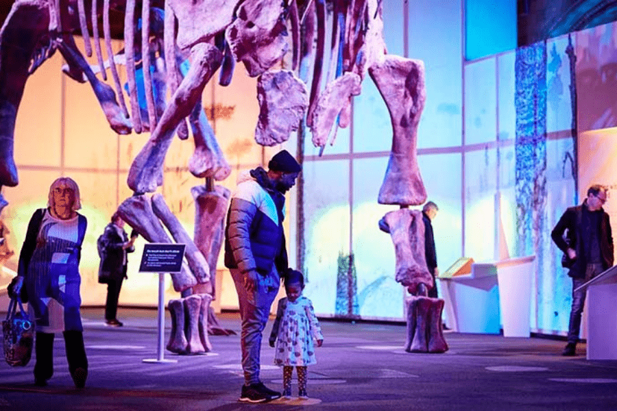 A child with her father discovering the best of dinosaurs during one of the op kid-friendly London Tours