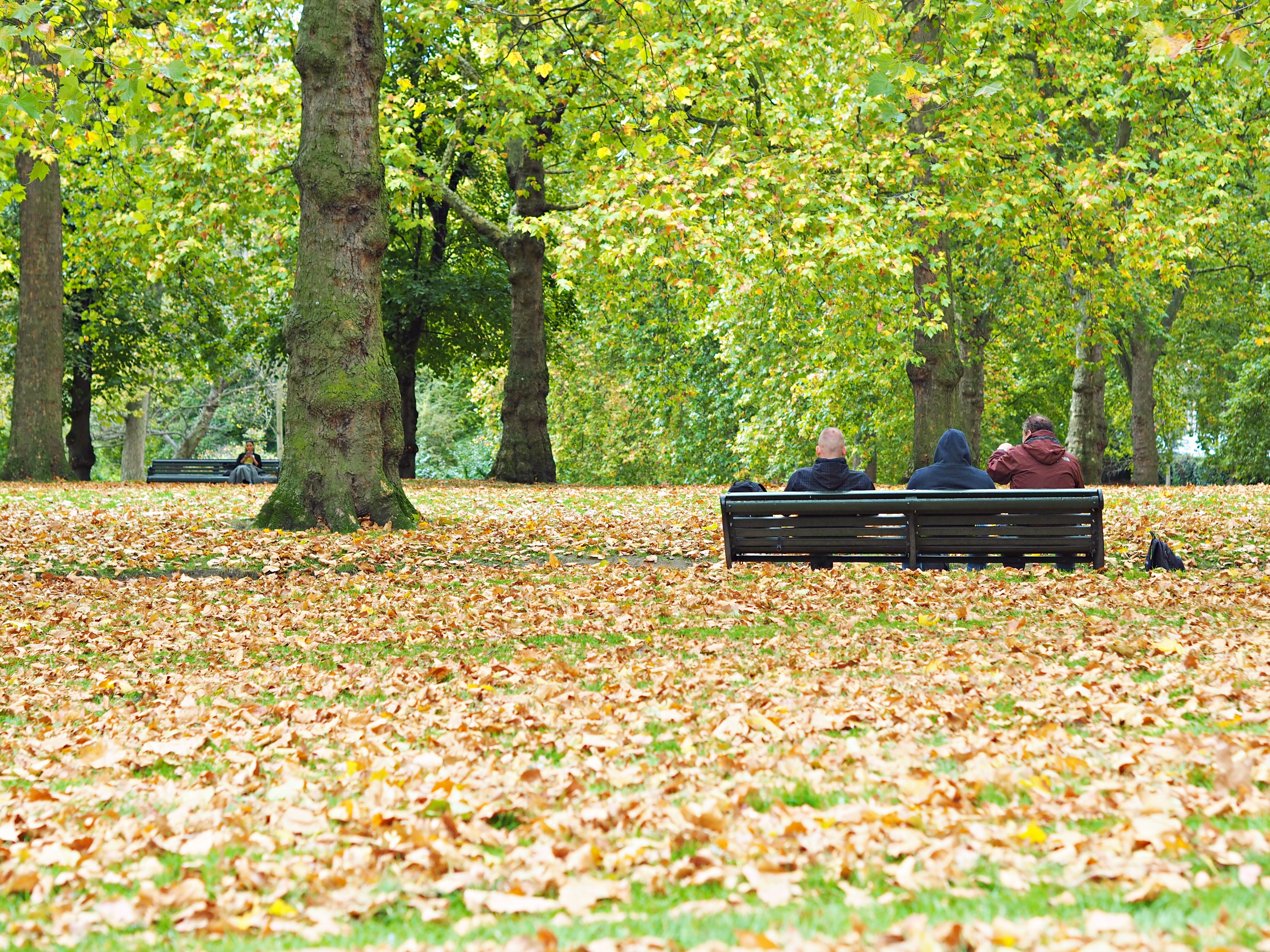Cool Things to Do When Visiting London in the Fall