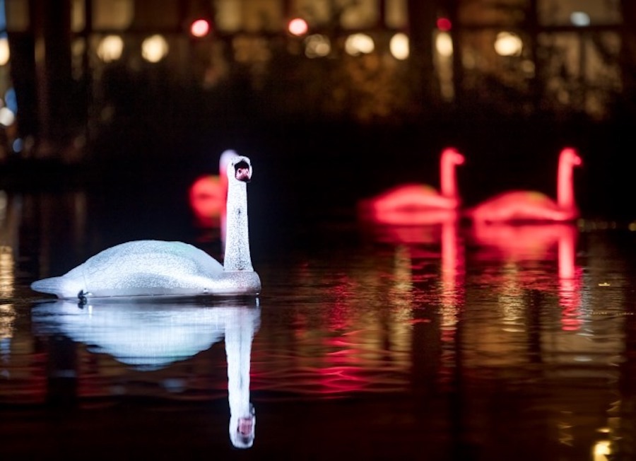 What To Do in London in January - Attend the Canary Wharf Winter Lights Exhibition