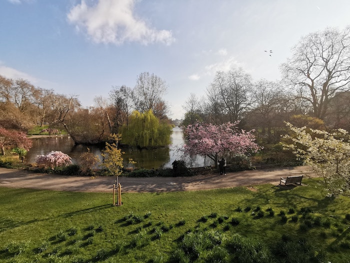 Things to Do When Visiting London in April - Where to see cherry blossoms in London