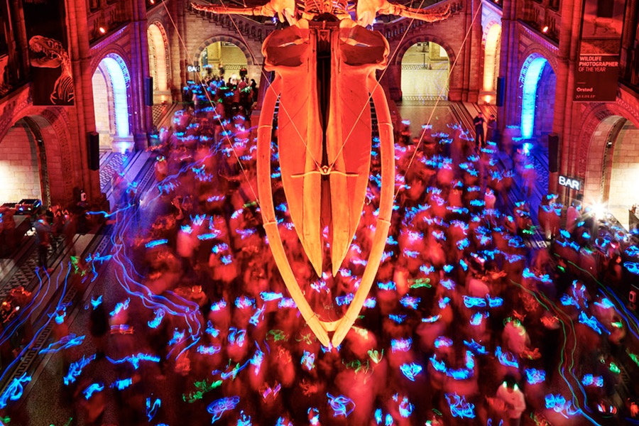 This is an image of everyone partying with their headphones on under the massive whale skeleton in the iconic Natural History Museum.