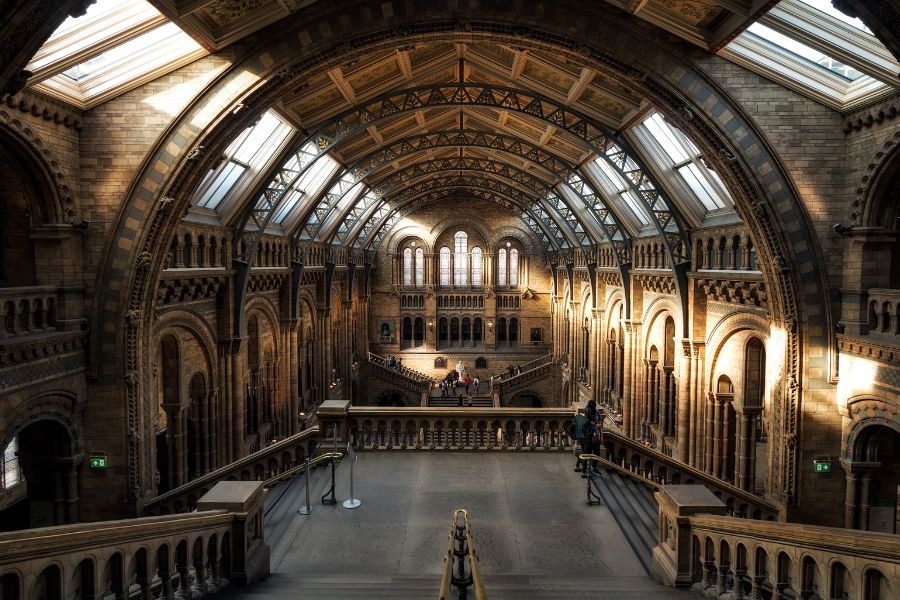 This is a picture of the dark, elegant interior of the Natural History Museum.