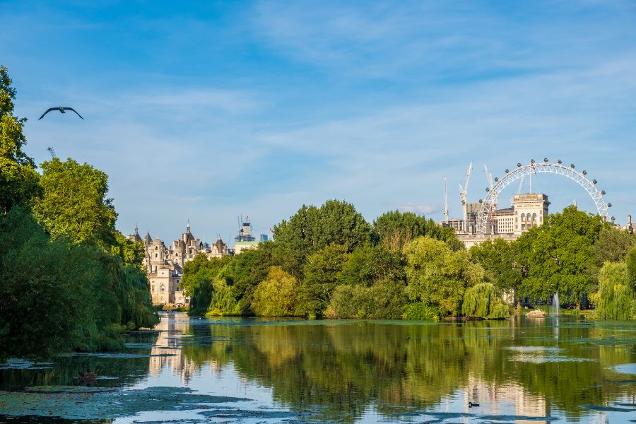 This is an image of St. James' Park. You can see a lake with reflective water, lots of greenery and the London Eye in the background.